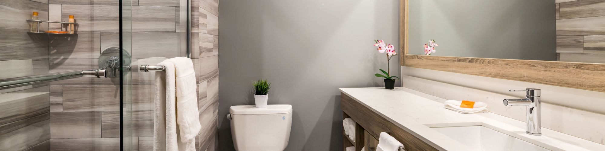 A modern bathroom with a glass-enclosed shower, toilet, sink, and large mirror. Towels are hanging, and decor includes a plant and soap.