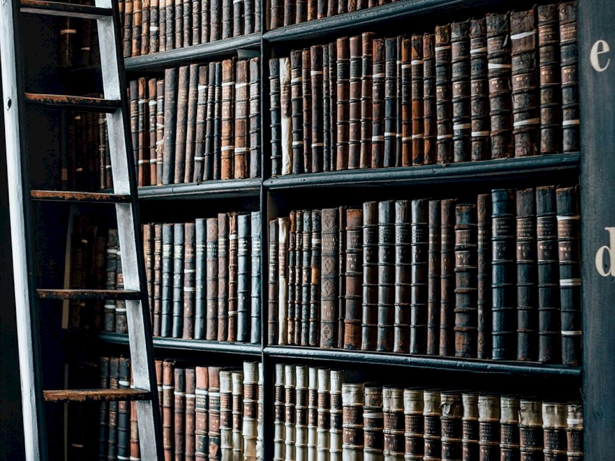 The image shows a bookshelf filled with old books and a wooden ladder leaning against it, likely located in an antique library.