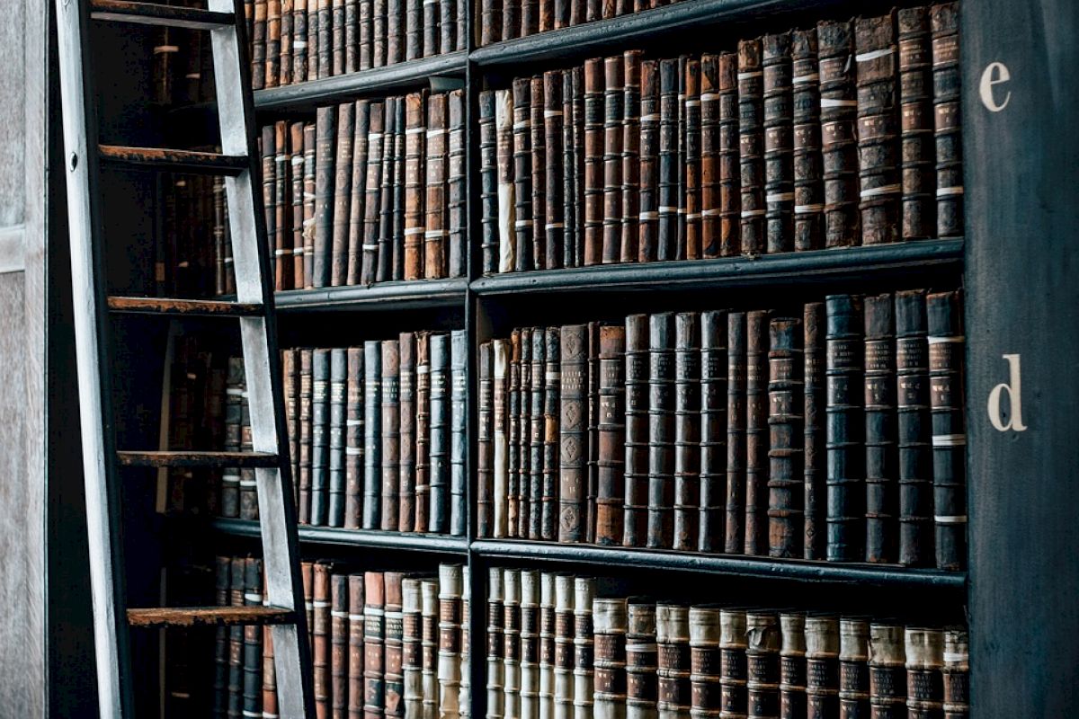 The image shows a tall bookshelf filled with old, weathered books and a wooden ladder leaned against it. Letters 